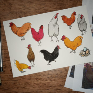 Ink and Wash Chickens